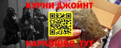 спиды Кингисепп
