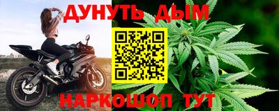 спиды Кингисепп