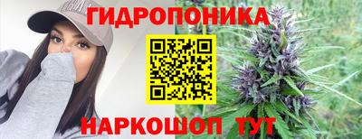 стафф Кинель