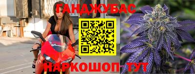 спиды Кингисепп
