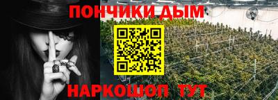 спиды Кингисепп