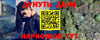 спиды Кингисепп