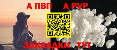 спиды Кингисепп