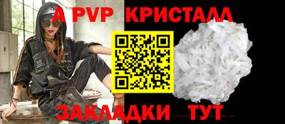 спиды Кингисепп