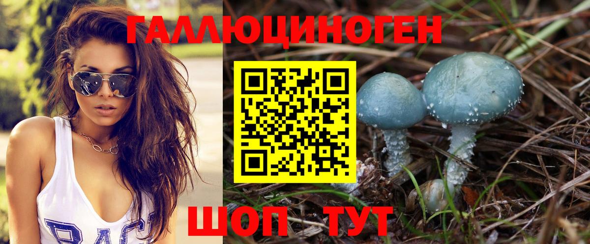 Галлюциногенные грибы Psilocybe  Вход с VPN  Красногорск 