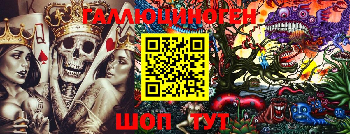 Псилоцибиновые грибы Psilocybe Красногорск